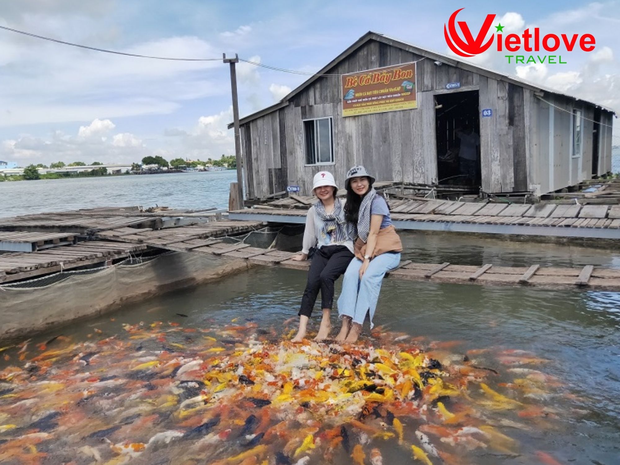 vietlovetour.com