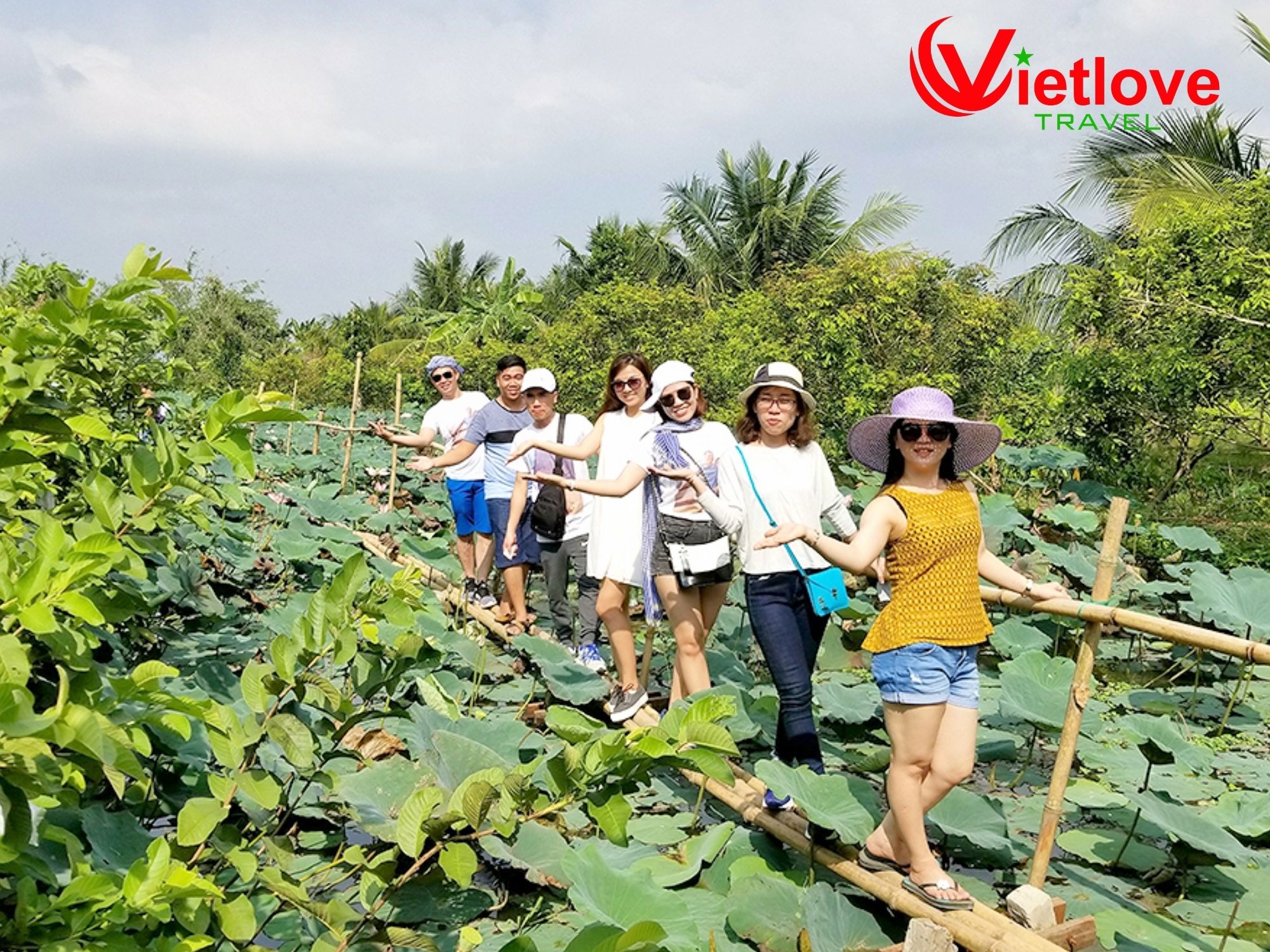 vietlovetour.com