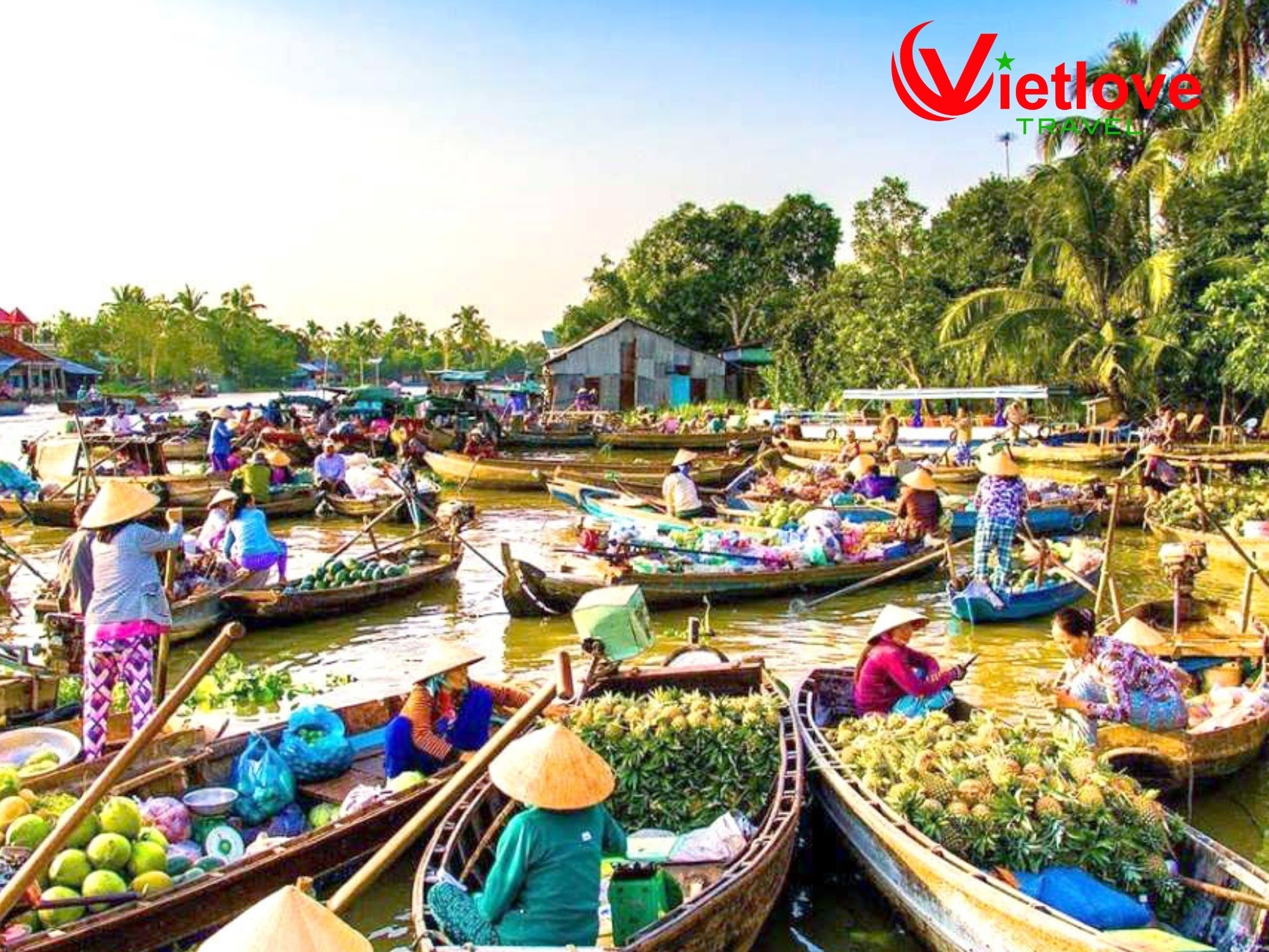 vietlovetour.com